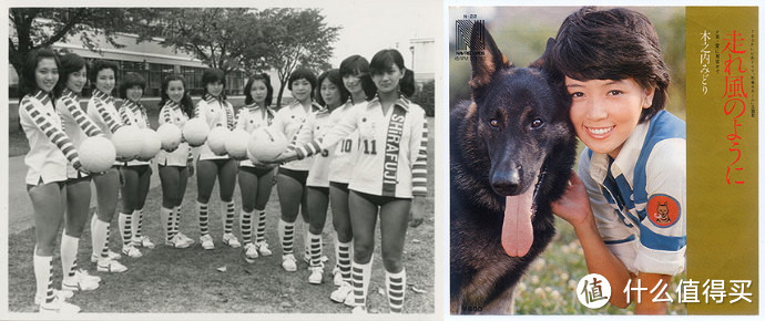 放一张排球女将和警犬卡尔的照片（图片来源于网络）