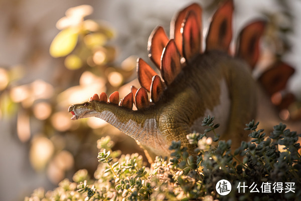 恐龙玩具上色 第二弹 safari 红剑龙