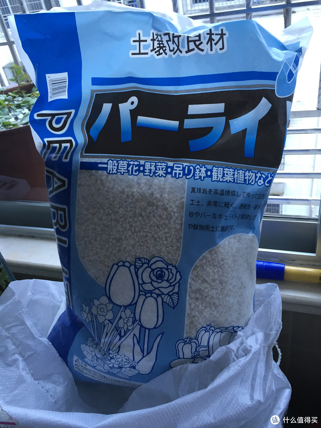 生石花养殖经验 生石花怎么养 什么值得买