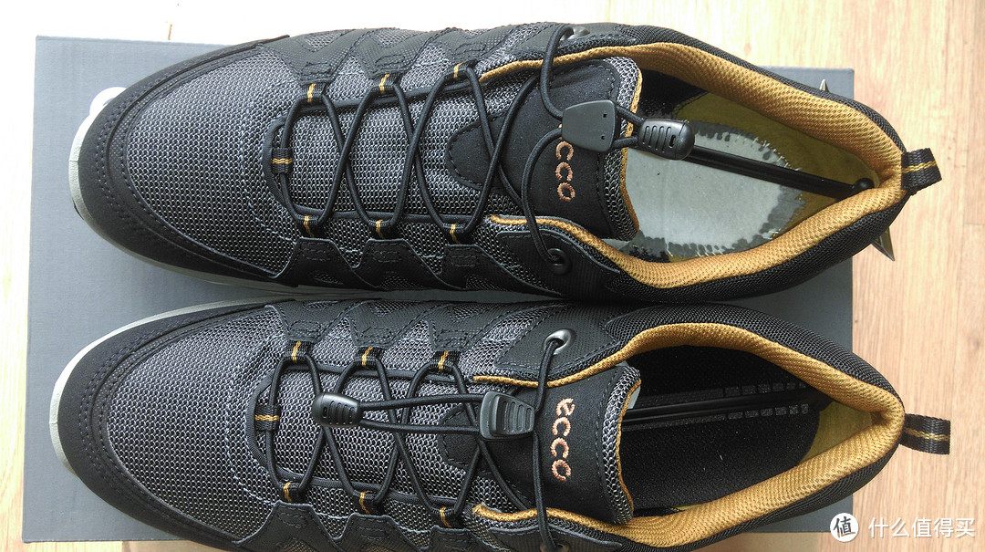 第一双ecco — Ecco Light Iv, Men's Multisport Outdoor Shoes