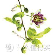 痘后综合征患者的自救之路:跟困扰油皮的脂溢性皮炎说再见