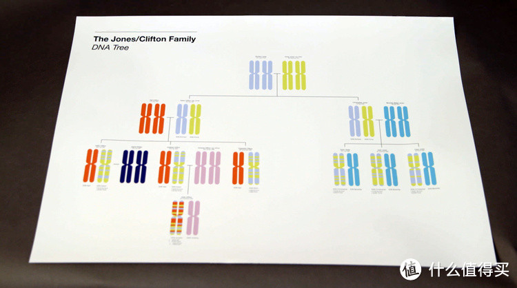 真正的独一无二：Dot One 推出 DNA 定制系列