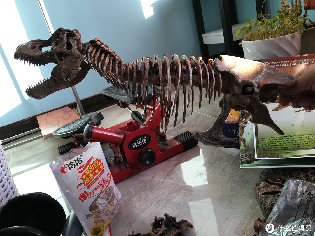 ELENCO Science Tech 科技系列 T-Rex 霸王龙骨架模型