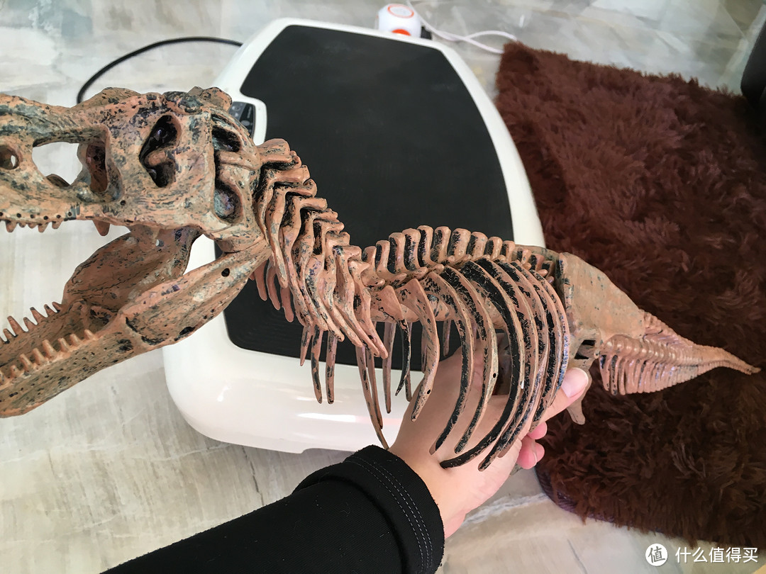 ELENCO Science Tech 科技系列 T-Rex 霸王龙骨架模型