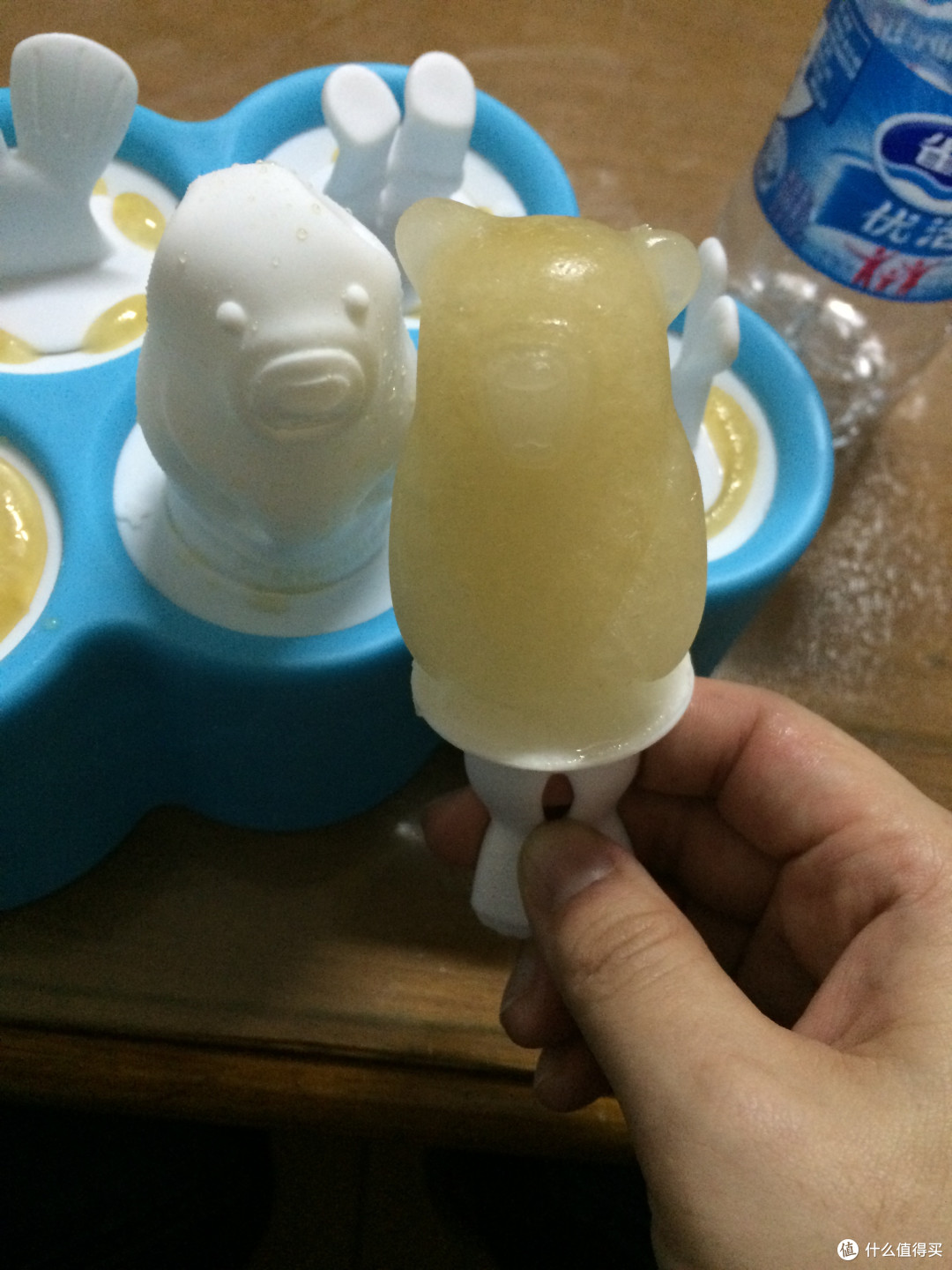 ZOKU 极地系列 ZK125 冰棒模具套装
