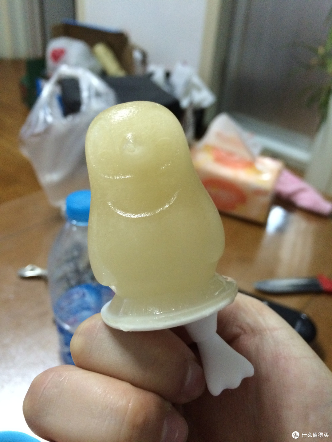 ZOKU 极地系列 ZK125 冰棒模具套装