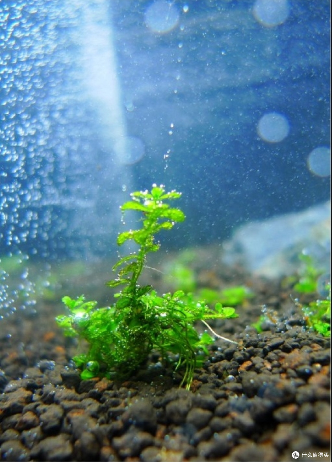 300方缸开缸纪实