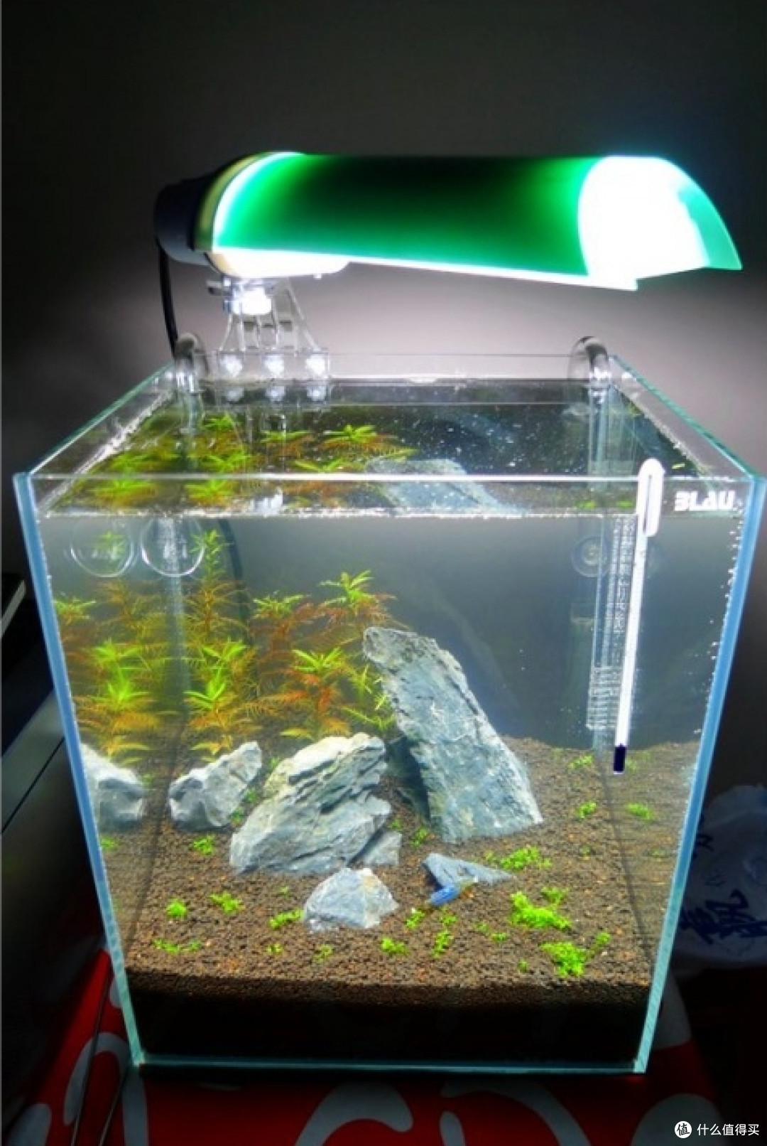 300方缸开缸纪实