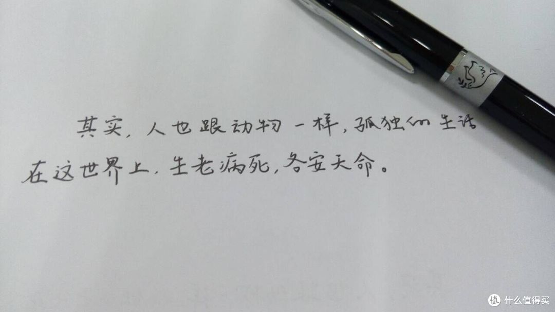 EDC or EDU?(所谓的首秀?!)
