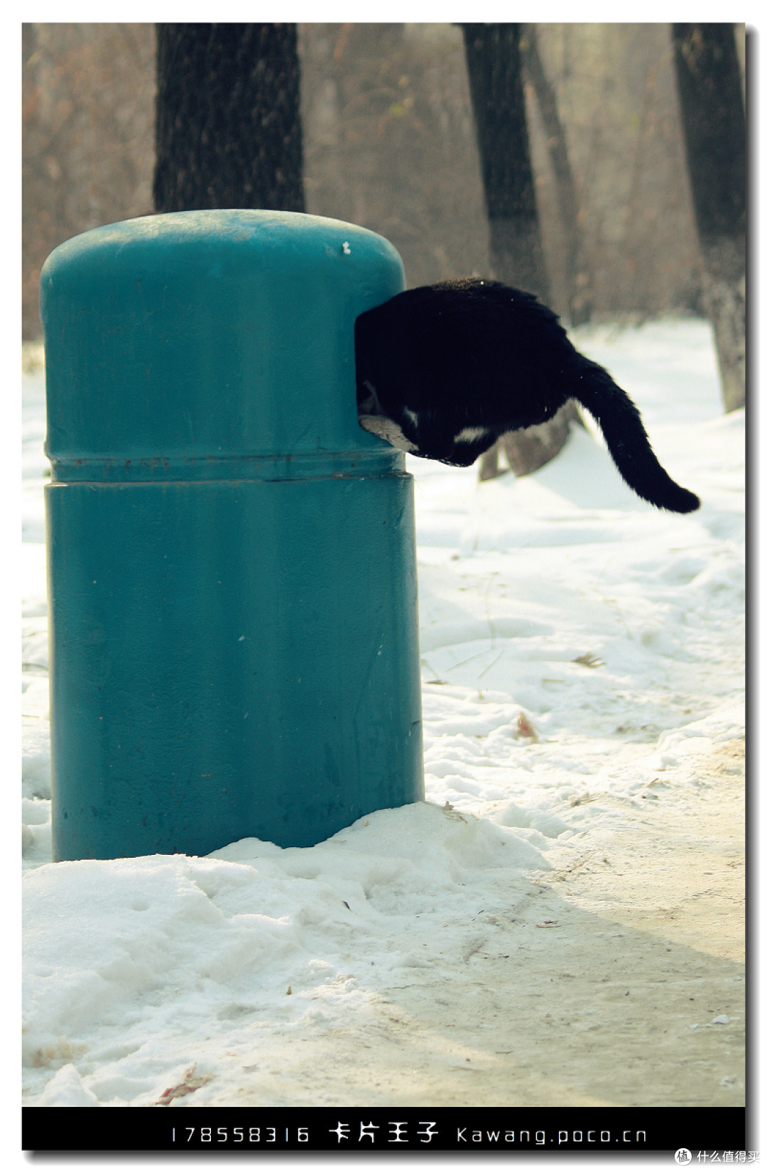 如何选一台数码相机？相机乱斗 — 机身那点事