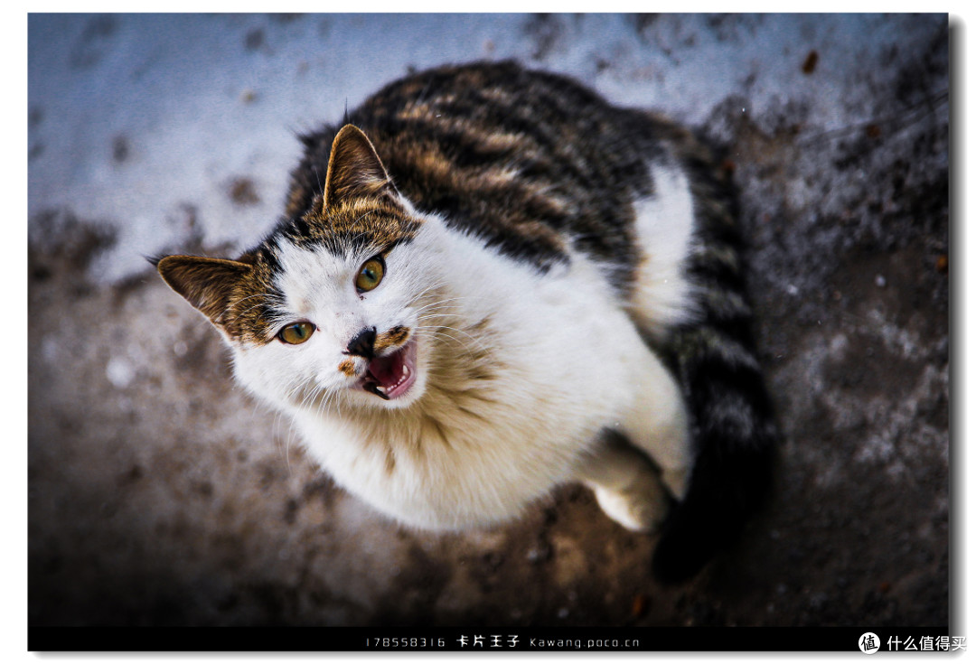 如何选一台数码相机？相机乱斗 — 机身那点事