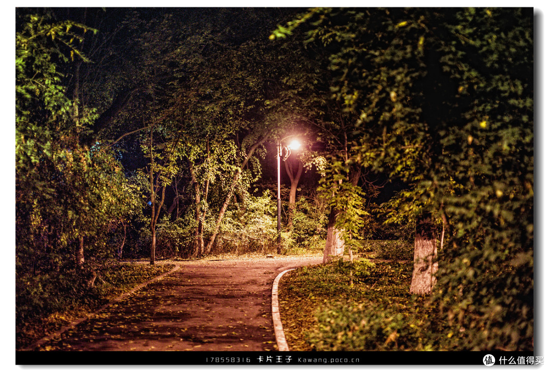 如何选一台数码相机？相机乱斗 — 机身那点事