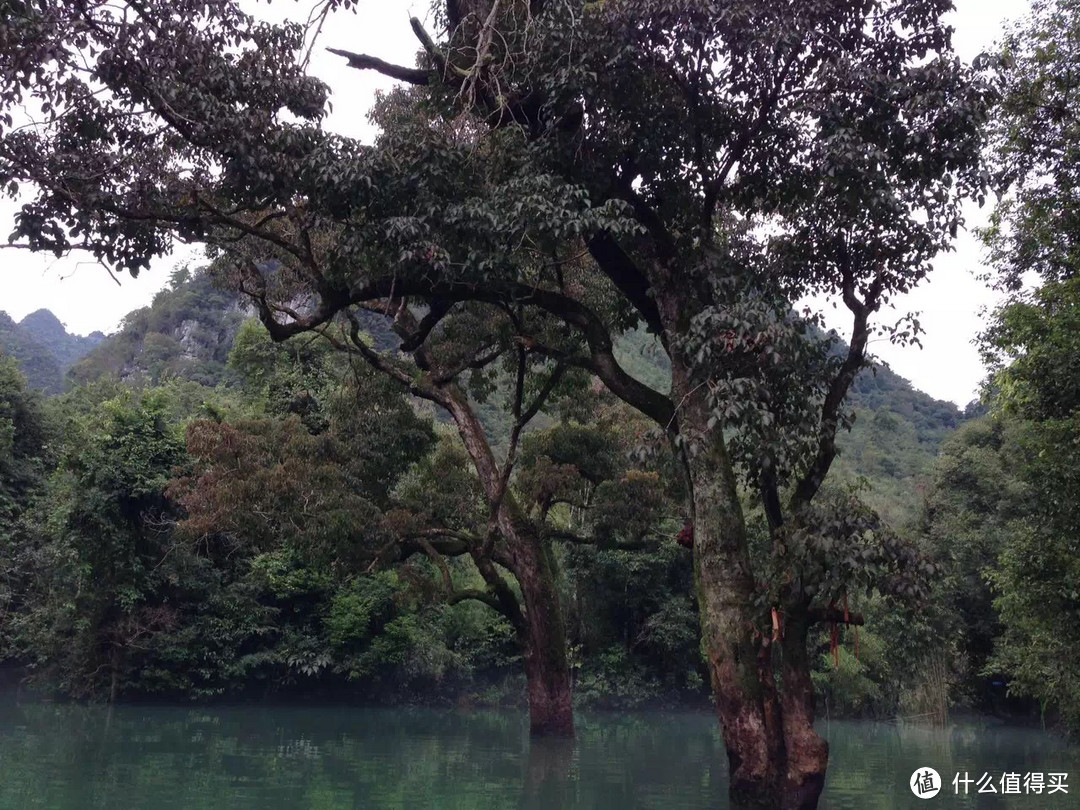 雾气湿衣裳，饮酌那秋黄—记贵州自驾三日游