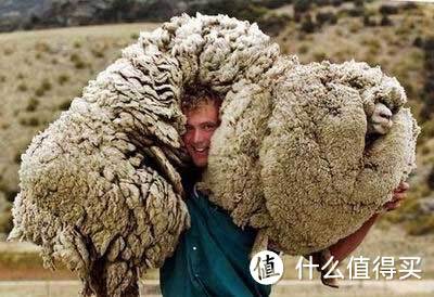 贴身的保暖、舒适及安全——Icebreaker，美利奴（Merino）羊毛底层衣穿着体验