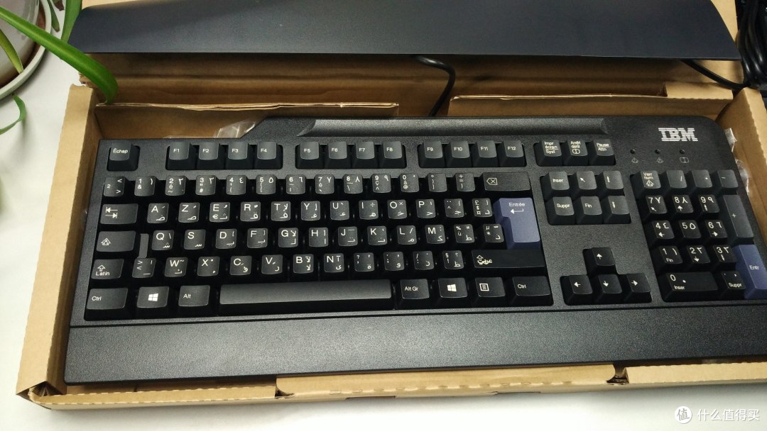 IBM SK-8825键盘鸟语版_键盘_什么值得买