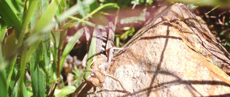 我的15 随手拍 赶闲无事整理手机照片 什么值得买