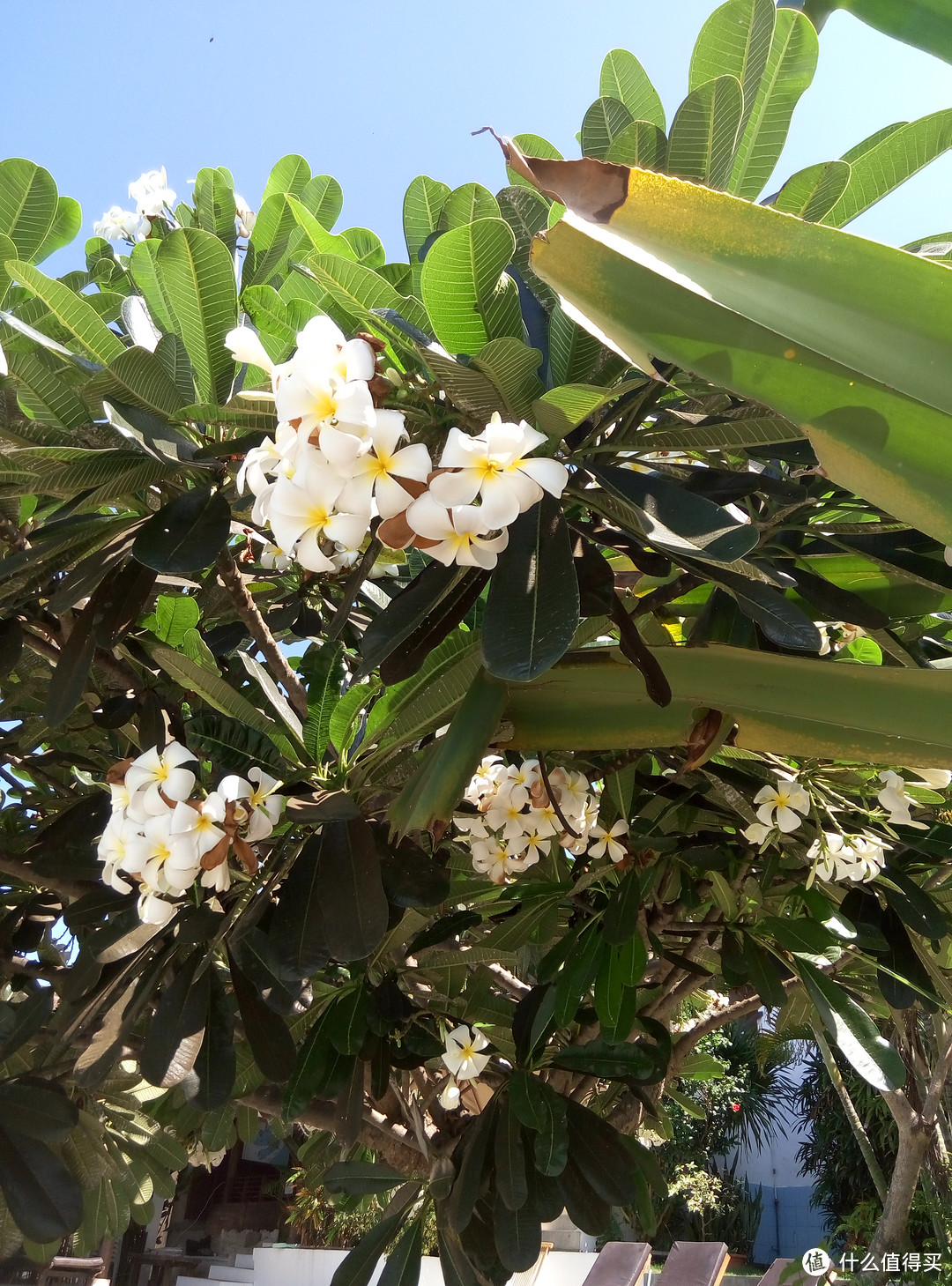 迟到的毕业旅行：巴厘岛简单七天五晚自由行~