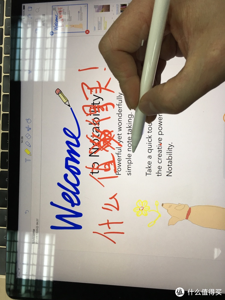 一周年结婚纪念日，替老婆买礼物送自己：Apple 苹果 Pencil for iPad Pro 触控笔 开箱