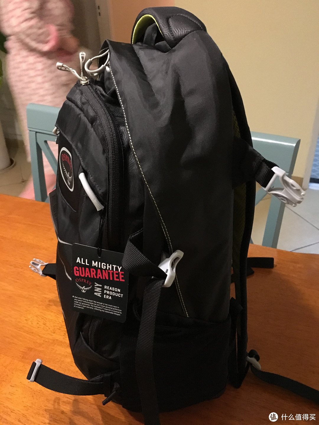 OSPREY F14 Ellipse 25L 双肩包，为情怀买单！