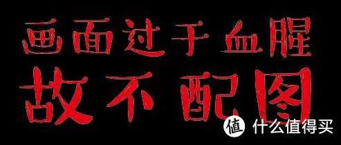 #我的2015#刺激2015：在剁手的不归路上昂首挺胸地大步前行！