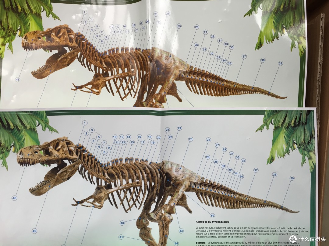 不值得一买的大白象……恐龙模型