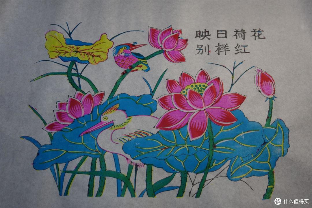 普天同庆动植物贺岁大礼包