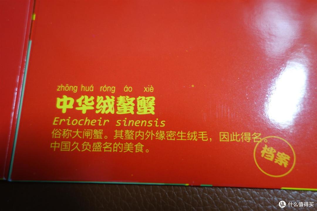 普天同庆动植物贺岁大礼包