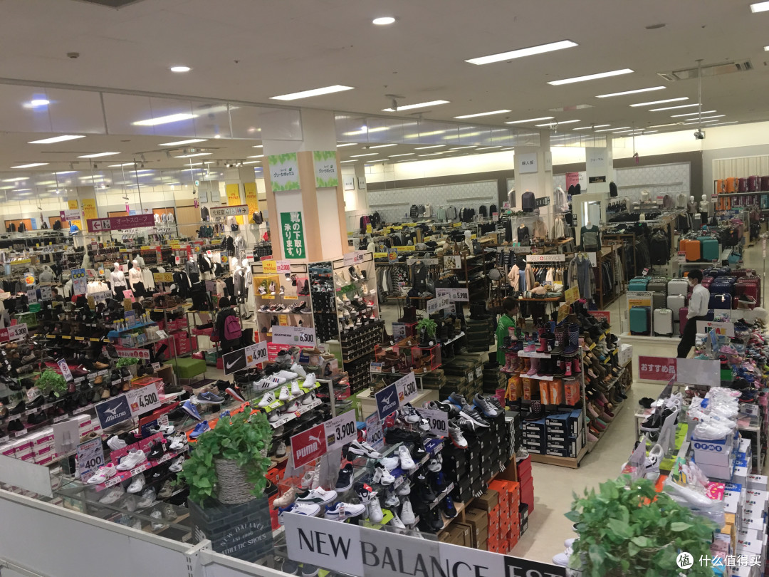 不一样的逛吃——非标准游客的东京四天三晚之行