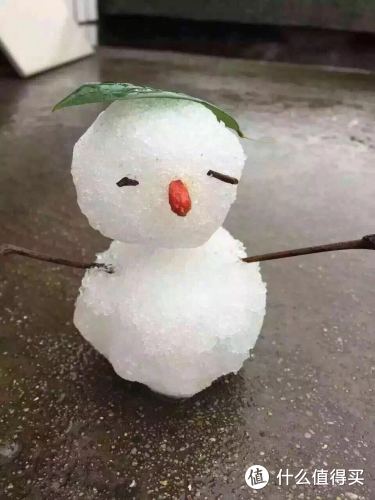 今天我,寒夜里看雪飘过--记录人生第一场雪