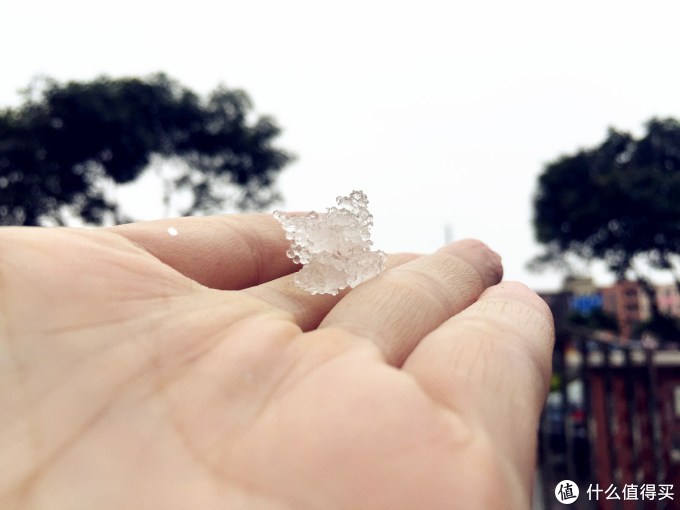今天我,寒夜里看雪飘过--记录人生第一场雪