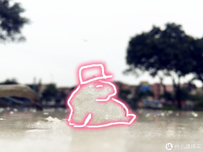 今天我,寒夜里看雪飘过--记录人生第一场雪