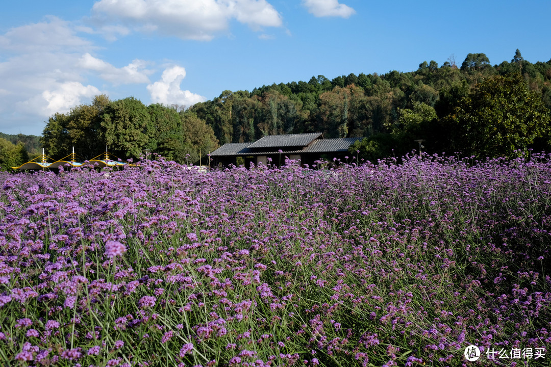 富士Super EBC XF 23mm f/1.4 R