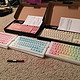 Filco 斐尔可 圣手2代 87键 青轴机械键盘与PBT浸染彩色键帽开箱