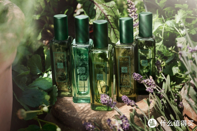 草本植物的香气：JO MALONE 推出 The Herb Garden 系列新香