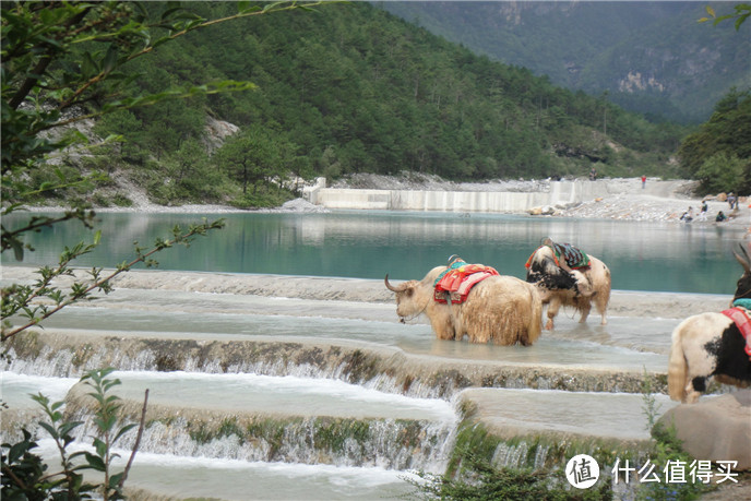 白水河