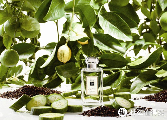 【每周精选】#品牌故事#厨房里走出来的香氛女王: Jo Malone 祖马龙 香氛产品选购指南