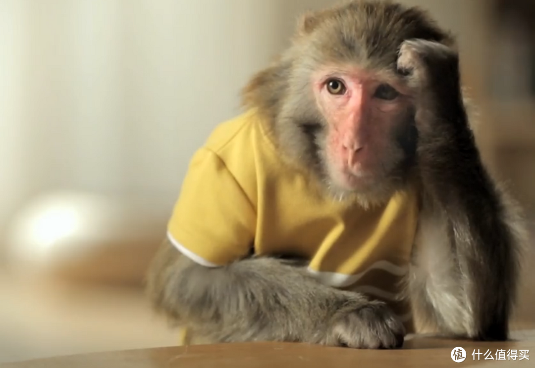 猴年享美食：汤达人推出新一季广告