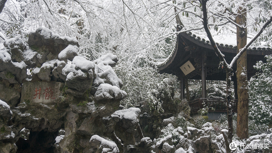 腊月时节，探雪西湖岸