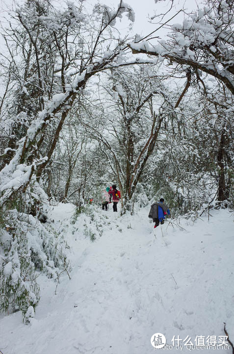 川人的福利——看雪就去千佛山