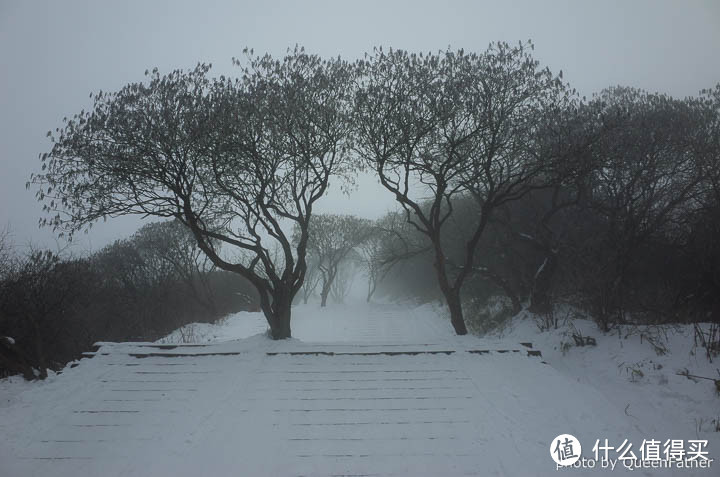 川人的福利——看雪就去千佛山