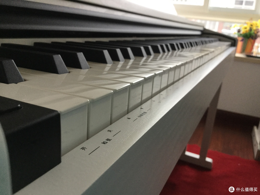 30岁才开始，Amason 艾茉森 VP122 带我完成