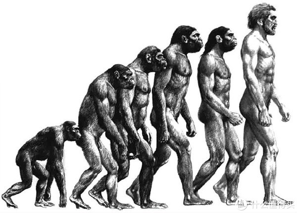 Tread Lightly 翻译之篇二 | 人类的跑步进化史翻译