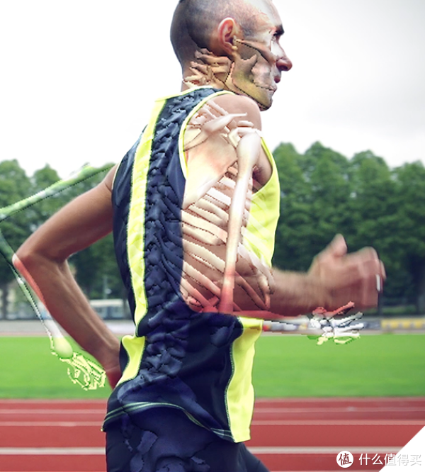 Tread Lightly 翻译之篇二 | 人类的跑步进化史翻译