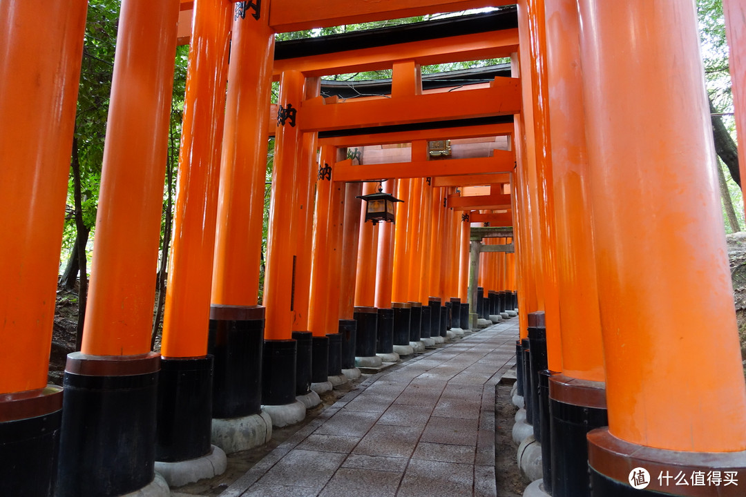 Day1-Day3:抵达大阪，领取周游卡，直奔京都篇（100P）