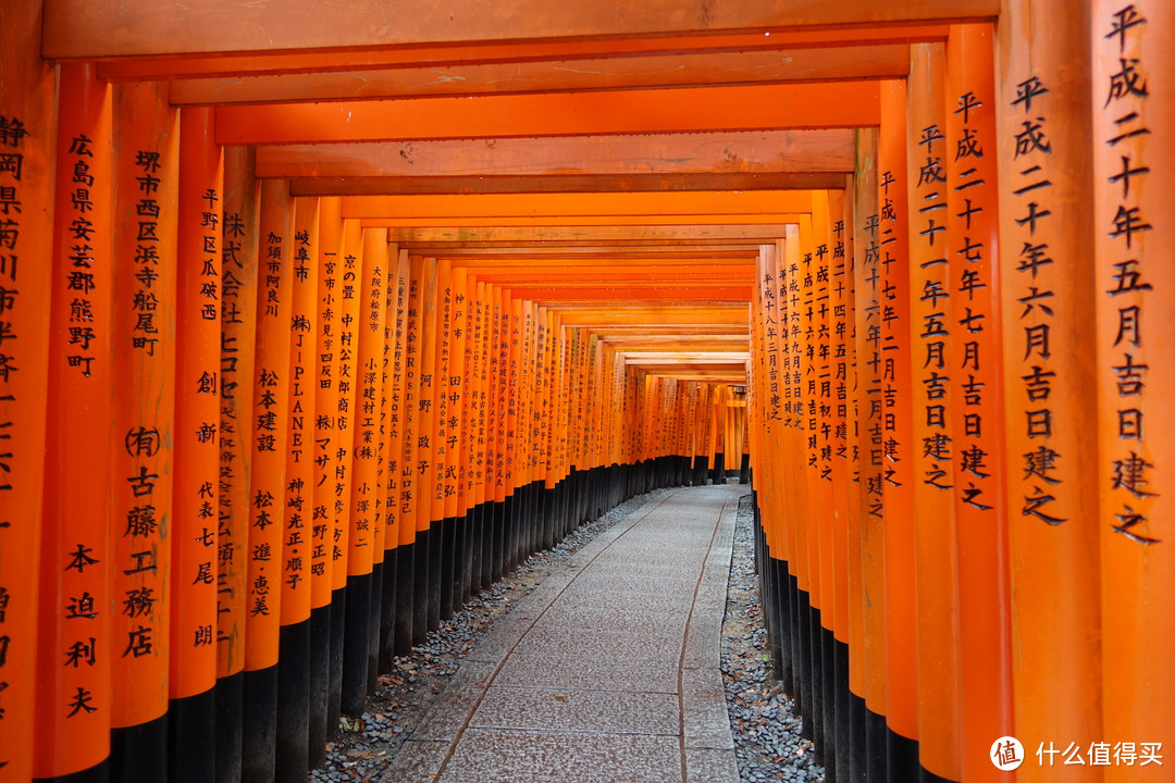 Day1-Day3:抵达大阪，领取周游卡，直奔京都篇（100P）