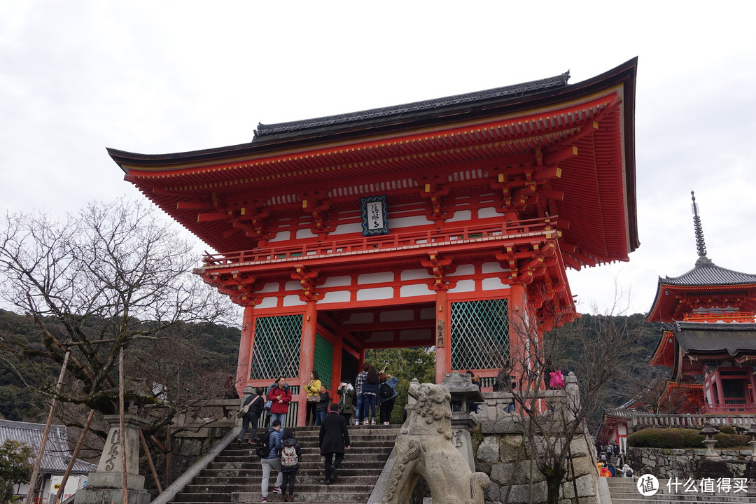 Day1-Day3:抵达大阪，领取周游卡，直奔京都篇（100P）