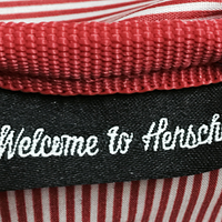 Herschel Supply Co. Settlement双肩包