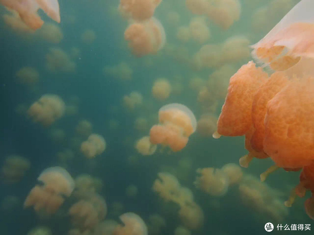 多样的海底景观