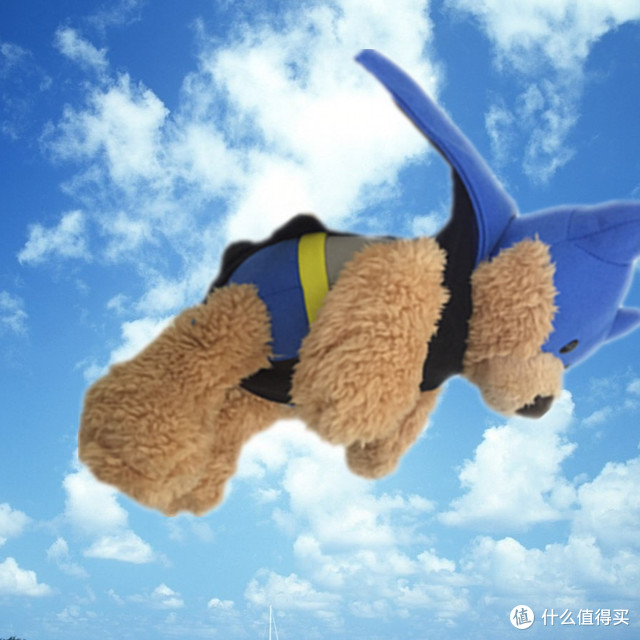 美亚海淘小内内晒单