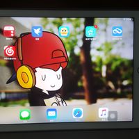 苹果 iPad Air 2 平板电脑使用感受(屏幕|硬件配置|续航|相机)